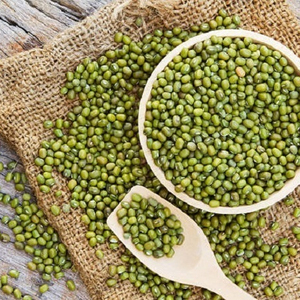 Haricots Mungo Séchés en Conserve, Légumineuses Brutes de Qualité Alimentaire pour l'Industrie, Approvisionnement en Vrac de Gramme Vert de Haute Qualité pour l'Exportation - Product Image 2