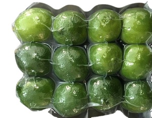 Haute Qualité En Gros Origine Naturelle Bon Prix Du Viet Nam Prêt À Expédier Frais Citron Lime Nouvelle récolte - Product Image 1