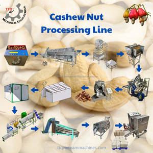 Cashew nut Processing Factory 5-100 Tons/Day Semi-auto Raw cashew nut Food Grade Stainless Steel Manufacturer Vietnam - Product Image 2