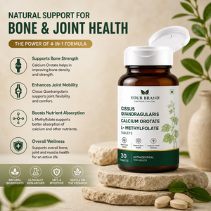 Fabricant OEM – Comprimés de Cissus Quadrangularis, Orotate de Calcium et L-Méthylfolate sans sucre et sans gluten pour la santé osseuse des adultes - Product Image 4