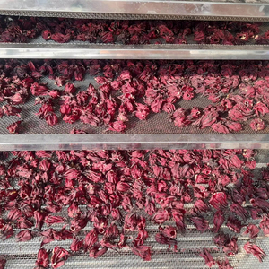 Fábrica de Flores de Hibisco de Vietnam, Flor de Roselle Seca para Té, Proveedor de Exportación a Granel - Product Image 1