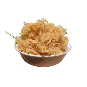 Excellent Prix Mousse de Mer Irlandaise Naturelle Séchée Algues Marines Dorées Fournisseur Vietnamien Vrac Emballé Sous Vide Prix Usine Compétitif - Product Image 3