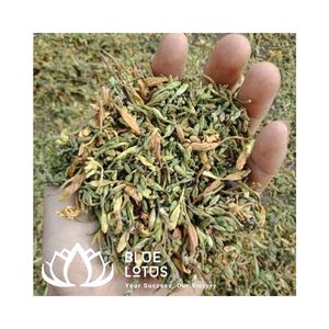 Thé de fleurs de papaye séchées de haute qualité, biologique, en vrac, boisson à base de plantes, vente en gros - Product Image 1