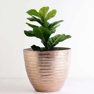 Macetero Metálico de Interior Perfecto para Decoración de Sala de Estar u Oficina con Acabado Liso y Estilo Minimalista - Product Image 3