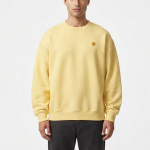 Nouveau sweat-shirt épais pour homme, pull décontracté et chaud, idéal pour le quotidien, vêtement confortable de style urbain - Product Image 1