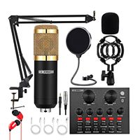 Microphone à condensateur 5 cœurs D0100HXARJX doré avec support de bras pour enregistrement studio et podcast
