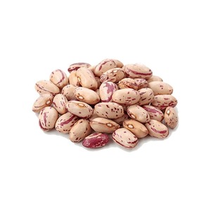 Haricots naturels de forme uniforme, d'apparence propre, à haute valeur nutritionnelle et de qualité de récolte soigneusement sélectionnée - Product Image 1