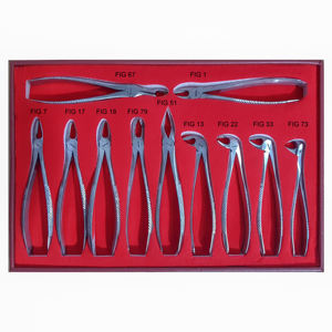IMPLANTATIONS DENTAIRES DI-DEF754 – Forceps d'extraction dentaire manuels de qualité supérieure, prix abordable, modèle anglais, acier inoxydable, grade A+, certifié CE - Product Image 2