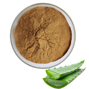 Polvo de Aloe Vera Natural de Grado Alimenticio 100% Puro, Ingredientes Vegetales Finamente Molidos para Uso en Alimentos y Bebidas - Product Image 4