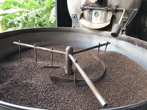 เมล็ดกาแฟโรบัสต้าคั่วแบบขายส่งจากเวียดนาม คุณภาพส่งออก รับผลิตแบรนด์ส่วนตัว |   เซเลสเต นกยุ่น วิลาโคนิค - Product Image 3