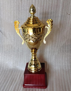 Copa de Trofeo Ornamental con Acabado Dorado, Diseño Floral en Relieve, Asas Curvas y Base Elegante para Campeones Deportivos - Product Image 5