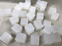 Bâtonnets de gelée de noix de coco halal, Nata de Coco crue blanche, garniture pour desserts, du Vietnam, du fleuve Mé Kong, prête à l'emploi pour les boissons froides et le bubble tea