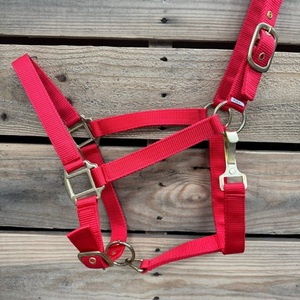 En gros, Licol d'entraînement en nylon pour cheval, confortable, robuste, réglable et durable, équipement d'équitation en gros - Product Image 6