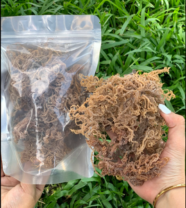 สาหร่ายทะเลแห้งหั่นชิ้น 10-20 ซม. รสเค็มธรรมชาติ อุดมด้วยแร่ธาตุ น้ำหนัก 0.1-0.5 กก. ยี่ห้อ Ca Mau GOOD จากเวียดนาม บรรจุภัณฑ์แบบแห้ง รักษาความสดได้นาน 12 เดือน - Product Image 6