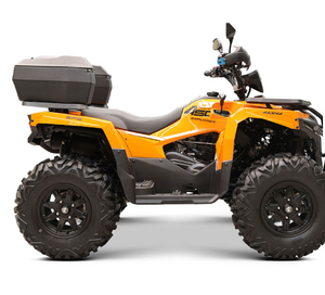Nuevo Vehículo Todoterreno de 300 CC y Cuatro Ruedas, ATV 4x4 de 4 Tiempos a Gasolina para Adultos con Certificación CE - Product Image 3