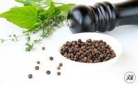 Poivre noir naturel – Fournisseur Vietnamien, Commande en gros, Grains de poivre de haute qualité // Mr.Tom