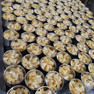 Tranches d'ananas au sirop prêtes à consommer pour la vente au détail et la restauration - Product Image 5