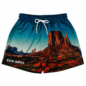 Pantalones Cortos de Baloncesto Personalizados con Estampado por Transferencia de Calor para Hombre, Pantalones Deportivos de Malla Transpirable, 100% Poliéster, Anti-UV, de Secado Rápido - Product Image 1