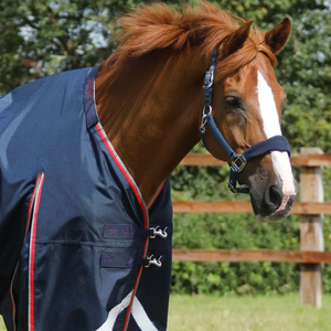 Couverture d'équitation au design unique, nouveau style, qualité supérieure, ajustement confortable pour l'équitation. - Product Image 3