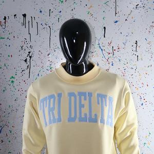 Sudadera con Capucha TRI DELTA, 100% Algodón, Apliques Bordados, Cuello Ancho, Hilos Finos para Invierno - Product Image 3