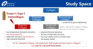 Стерильный лиофилизированный порошок ателлоколлагена типа I с тройной спиралью, полученный из сухожилий крупного рогатого скота, с содержанием эндотоксина <0,02 ЕД/мг - Product Image 4