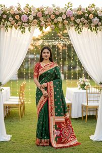 Sari en soie Banarasi douce avec broderie zari, motifs minuscules sur toute la surface du sari. - Product Image 4