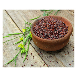 Semillas de Mostaza Enteras Naturales de Grado Alimenticio, Especia Premium para Cocinar, Elaboración de Alimentos y Mercados de Exportación a Granel - Product Image 3