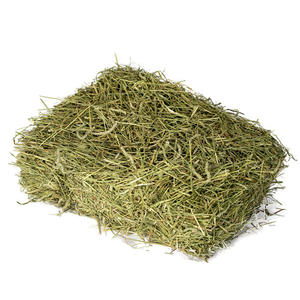 Heno de Timothy de Alta Calidad, Heno Seco para Alimentación Animal, Suministro al por Mayor para Exportación a Compradores Internacionales - Product Image 3