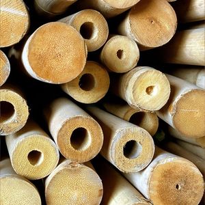 High-Tensile Vietnamese Bamboo Raw Materials | Thick-Walled Natural Bamboo <b>Poles</b> - Product Image 5