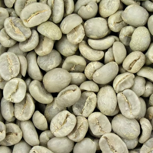 Café de Vietnam Certificado por USDA, Certificado ISO 22000, Granos de Arábica Verdes de Especialidad, Tamaño 18, Grado G1/G2, Negro, 0.1% TNFOOD - Product Image 1