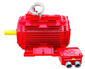 Motor de CA Trifásico Industrial de Clase C Resistente al Calor, Bobinado de Cobre y Hierro Fundido - Product Image 6