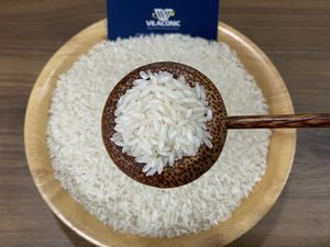 <b>TOP</b> VIETNAM SUPPLIER Long Grain White Rice 5% 10% 15% Broken Dried Food Grade in Bulk with Cheap Price-Linda +84393250278 - Product Image 6