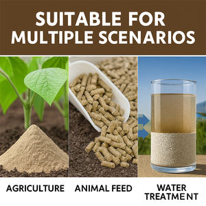 Adjuvant agricole économique en zéolite naturelle en poudre pour <span class=keywords><strong>engrais</strong></span> composé, taux de billesisation de 95 % pour une meilleure utilisation - Product Image 3
