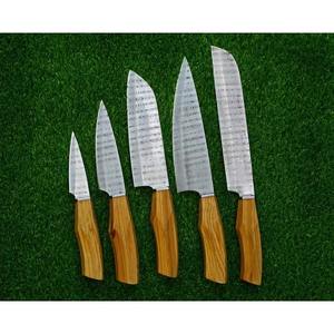 Professional 5-Piece Damascus Steel Handmade Chef Kitchen <b>Knives</b> Plastic Handles Drop Point <b>Blade</b> OEM Customizable-MS Enterprise - Product Image 2
