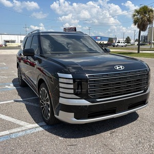 Meilleur prix Hyundai Palisade SUV familial Haute performance Qualité supérieure Cabine confortable et caractéristiques de sécurité avancées Disponible - Product Image 2