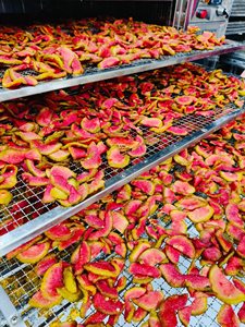 Goyave séchée douce |   Fruits 100% frais et biologiques |   Ingrédients pour collations et thés du Vietnam - Product Image 2