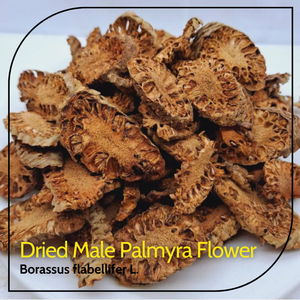 Rodajas de Espada de Borassus Flabellifer de Grado Premium, Flor de Palma Macho Seca, Inflorescencia de Palma Toddy, Sin Moho, OEM - Product Image 6
