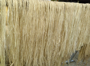 Fibra de Plátano Más Vendida para Manualidades y Tejido - Product Image 2
