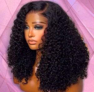 Perruque de qualité supérieure en cheveux humains indiens crépus bouclés sans enchevêtrement, perruque alignée avec volume naturel, prix d'usine direct - Product Image 4