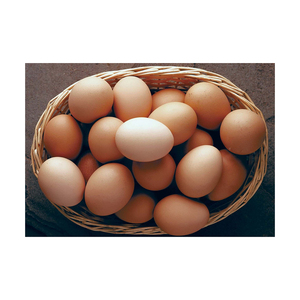 Huevos de Gallina Marrones de Grado A, Suministro de Alimentos al por Mayor de Primera Calidad - Product Image 5