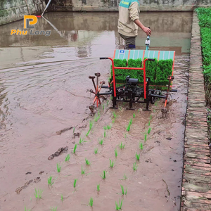 เครื่องปลูกข้าวแบบใช้มือ PHU LONG GLOBAL คุณภาพสูง 4/5/6 แถว พร้อมมอเตอร์เกียร์บ็อกซ์ ระยะห่างระหว่างแถว 20 ซม./24 ซม. - Product Image 5