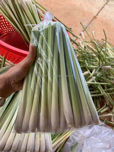 Citronnelle surgelée IQF de haute qualité, entière et en tranches, emballée sous vide, légumes frais du Vietnam - Product Image 1