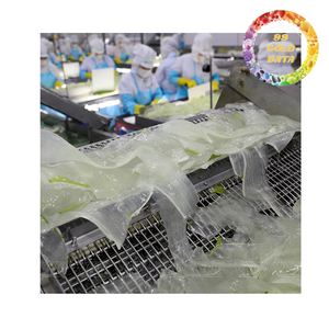 Aloe Vera Dice In Syrup For <b>Bubble</b> Tea Milk Tea Fruit Cocktails Bakery And Dessert <b>Toppings</b> - Product Image 5