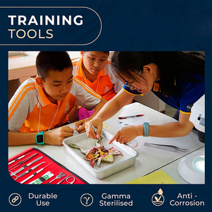 Juego Profesional de 12 Piezas de Instrumentos Quirúrgicos de Acero Inoxidable Alemán, Tijeras, Pinzas y Fórceps para Entrenamiento en Escuelas de Medicina - Product Image 6