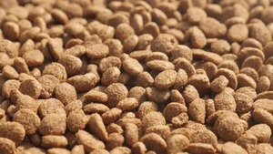 Alimento Seco para Perros al por Mayor de la India, Sabor a Salmón, Digestión Sensible, Natural, de Alta Calidad, Croquetas para Perros a Granel, Razas Pequeñas, Aumento de Masa Muscular - Product Image 6