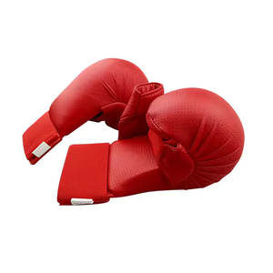 Guantes de Karate Duraderos de Alto Rendimiento para Práctica, Guantes de Karate en Venta - Product Image 1