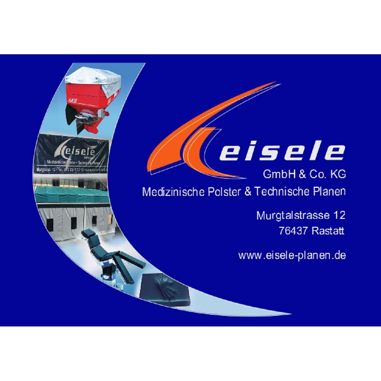Eisele GmbH & Co KG logo