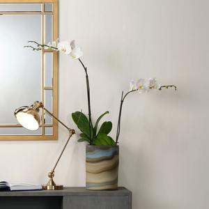 Lampe de table contemporaine en laiton avec globe en verre givré, éclairage moderne pour bureau et console - Product Image 4