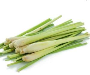 Hierba Limón Congelada IQF - Hierba Limón en Rodajas/ Picada para Exportación, Producto de Vegetales Congelados - PROVEEDOR VIETNAM/ Sra. Selina - Product Image 3