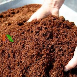 เม็ดมะพร้าวอัดเม็ด (COIR PITH) บล็อกเปลือกมะพร้าว  วัสดุปรับสภาพดินที่เป็นมิตรกับสิ่งแวดล้อม สำหรับการเกษตร เบน เทร เส้นผ่านศูนย์กลาง 36 มม. หนา 18 มม. - Product Image 2
